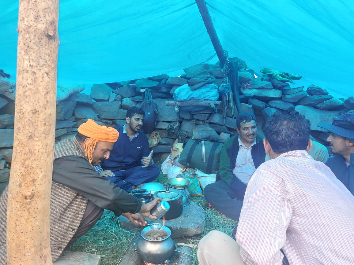 Yaks grazing in Spiti Valley high altitude pastures